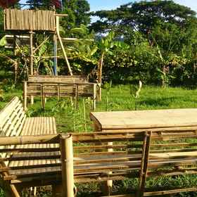 Primary image 1 Banana Grove Backpackers Inn, Hotel LOCO BAR