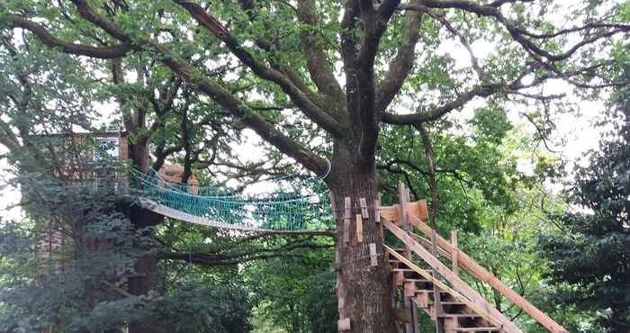 Others Cabane dans les Arbres - Tree House