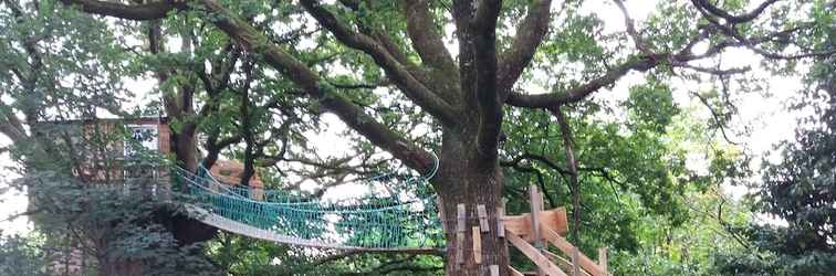 Others Cabane dans les Arbres - Tree House