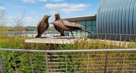 その他 2 Chestnut Court