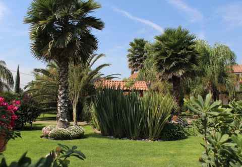 Lain-lain Hotel Palmas Teotihuacan