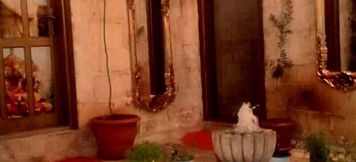 อื่นๆ 5 Gul Bedesten Konagi