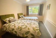 Others 4 Broncoedwig Devil's Bridge