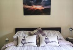 Others 3 Broncoedwig Devil's Bridge