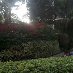 Primary image1休憩花園飯店,金贾飯店