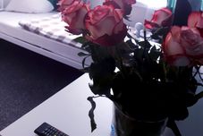 其他 ZiZi Central Hostel