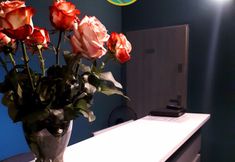 其他 2 ZiZi Central Hostel