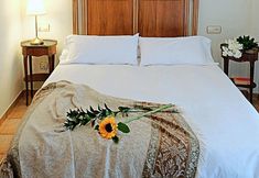 その他 4 Villa La Piedad Otura