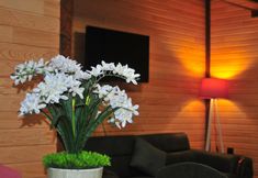 Others 2 Dilek Suit & Cafe