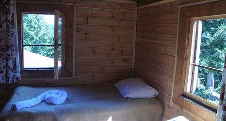 Lain-lain 2 Tanevit Dag Evi