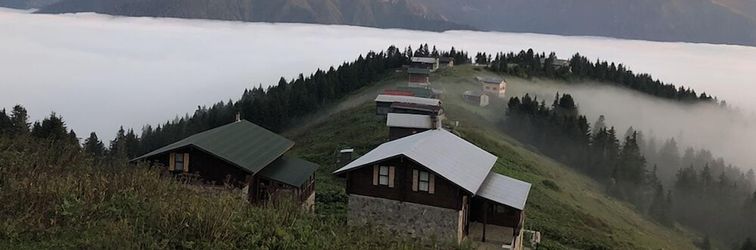 Lain-lain Tanevit Dag Evi