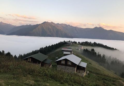 Lain-lain Tanevit Dag Evi