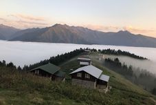 Lain-lain Tanevit Dag Evi