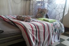 Lain-lain Romu Garden Hotel