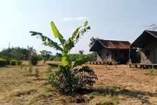 その他 Ambokili Lodge