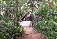 Others 3 Costa Rica Glamping