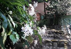 Others 7 Costa Rica Glamping