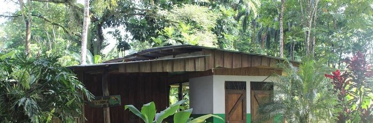 其他 Finca Guarumo - Hostel