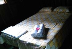 Others 3 Finca Guarumo - Hostel