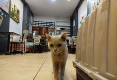 Others 2 Taksim City ivy Hostel