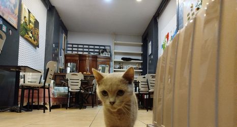 Others 2 Taksim City ivy Hostel