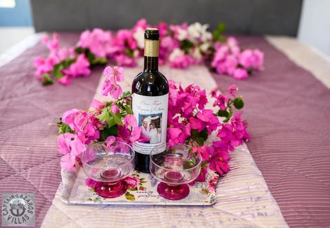 其他 Captain Lazaros Villas