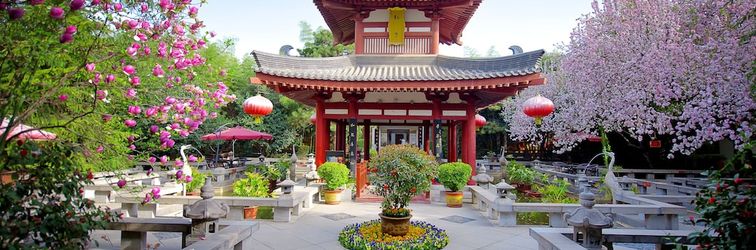 기타 Tang Dynasty Art Garden Hotel
