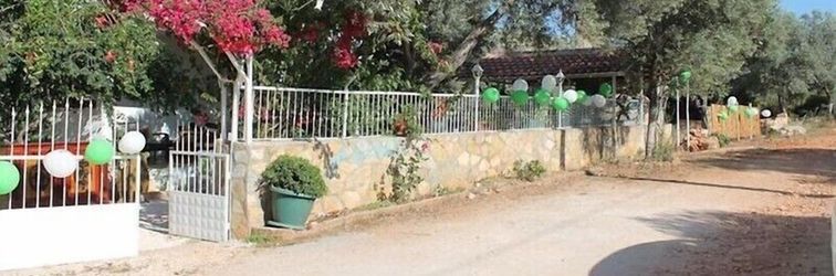 기타 Yeşil Vadi Doğa Hotel