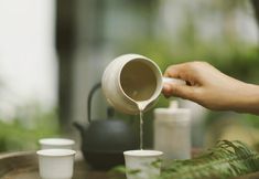 Others 3 Peking Yard Boutique Hotel