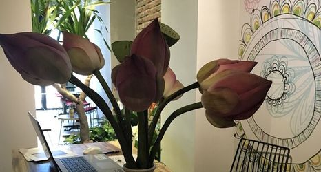 其他 2 Banana Flower Homestay