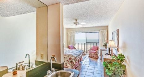 其他 2 1860-61-turtle-dunes