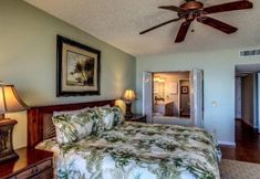 其他 7 1862-turtle-dunes