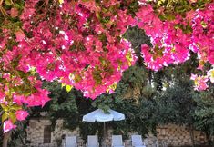 Others 7 Alacati Zeytin Konak Hotel