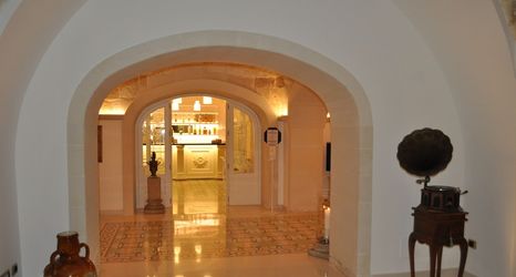 기타 2 Villa Rosa Antico