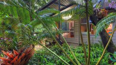 Lainnya 4 Chambers Wildlife Rainforest Lodges