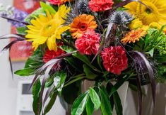 Lain-lain 7 Apartamenty Bracka 6