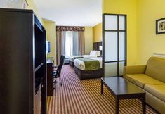 其他 4 Days Inn & Suites by Wyndham Houston / West Energy Corridor