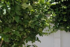 Others Hotel Infanta Leonor