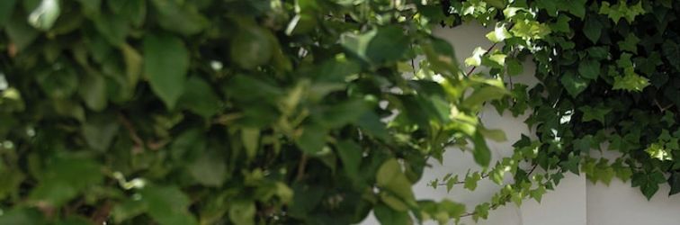 その他 Hotel Infanta Leonor