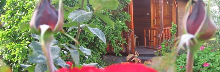 Others Ugur Pansiyon Çirali