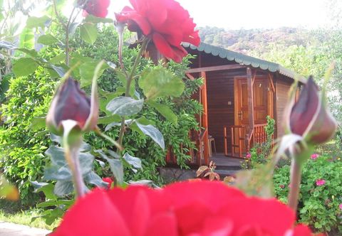 Others Ugur Pansiyon Çirali