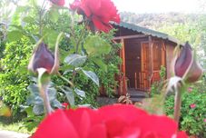 Others Ugur Pansiyon Çirali