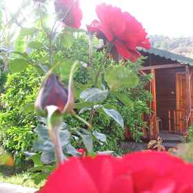 Primary image 1 우구르 판시욘 사이랄리, 케메르 호텔