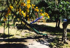 其他 3 Hotel Ristorante La Mimosa