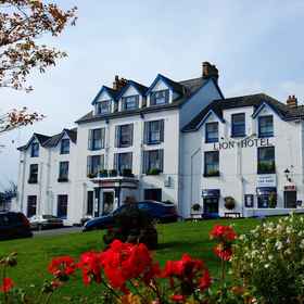 Primary image1Lion 飯店及工作室公寓,Pistyll飯店