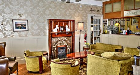 Others 2 Lion Hotel and Studio Apartments