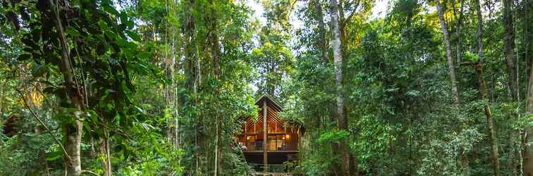 Others The Canopy Rainforest Treehouses and Wildlife Sanctuary