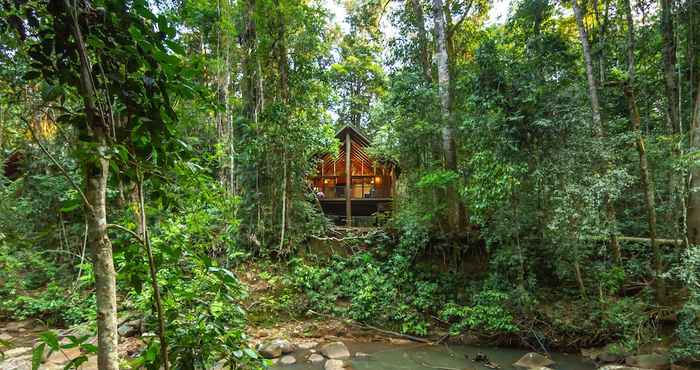 Lain-lain The Canopy Rainforest Treehouses and Wildlife Sanctuary