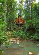 Primary image The Canopy Rainforest Treehouses and Wildlife Sanctuary