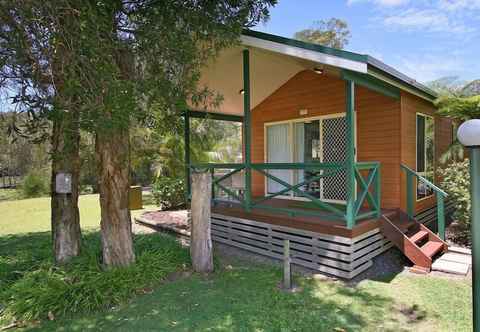 Others Gateway Lifestyle Lorikeet